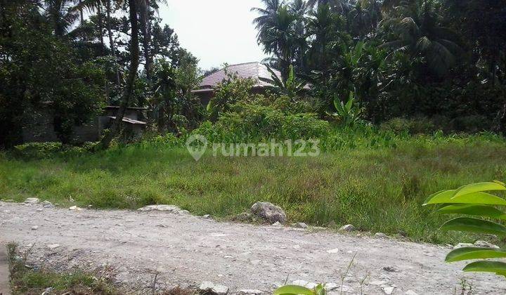 Tanah SHM Strategis Untuk Perumahan Di Batang Anai 1