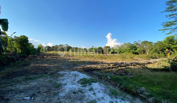 Tanah Syariah Murah Strategis Disamping STIKES Batara Guru WOTU