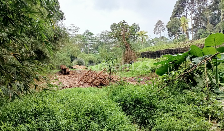 Kebun Bagus Datar Bekas Kandang Ayam 4