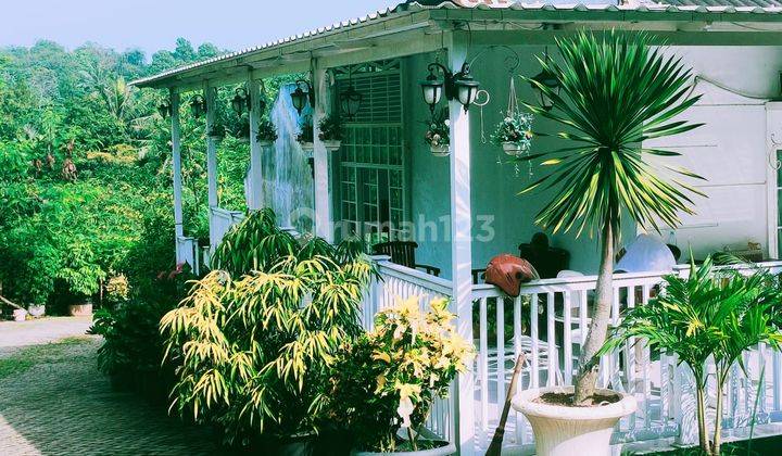 Rumah Hook Berasa Villa 2