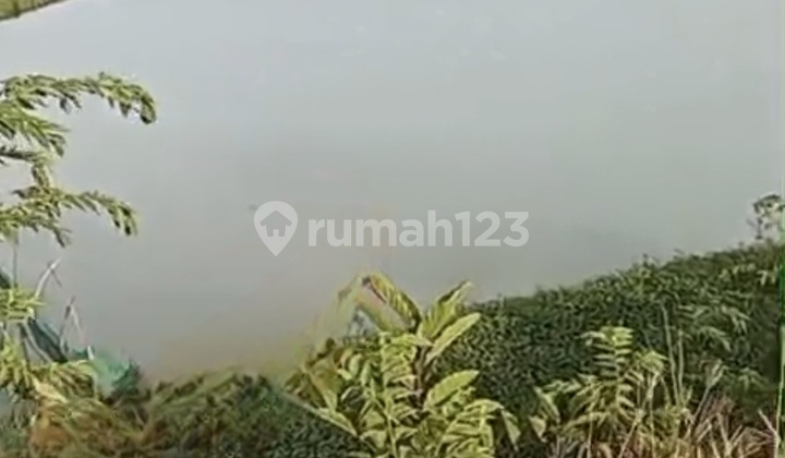 Murah Tanah Tambak Poros Lingkar Timur Dekat Lamongan Plaza