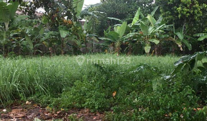 Dijual Cepat Tanah Belakang Citra Gran Leuwinanggung Tanag Kosong  1