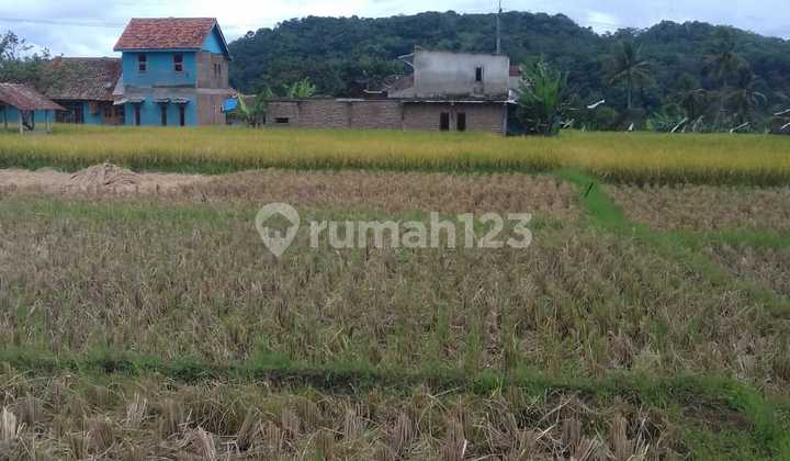 TANAH SAWAH PRODUKTIF SHM DI KADUGEDE KUNINGAN JAWA BARAT 6