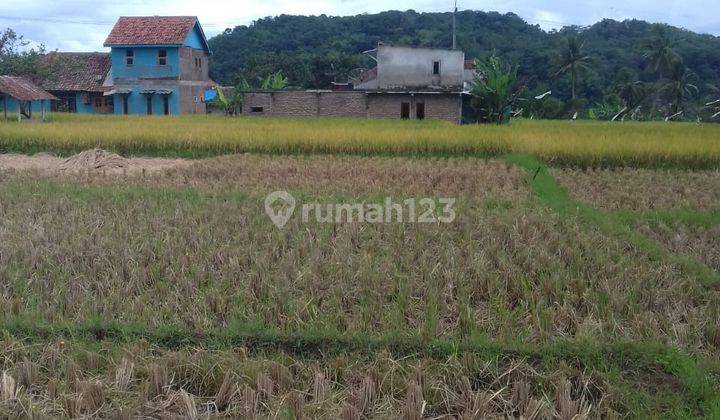 TANAH SAWAH PRODUKTIF SHM DI KADUGEDE KUNINGAN JAWA BARAT 7