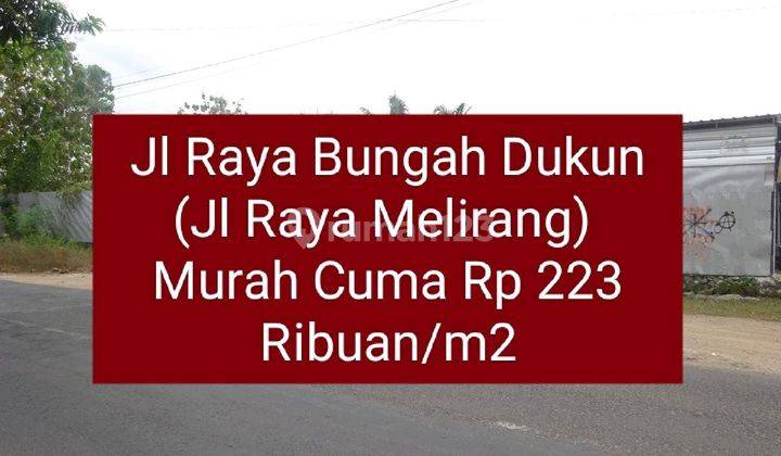 Termurah! Rp 223 Ribuan/m2 Dilelang Tanah 1 Hamparan Siap Bangun 1