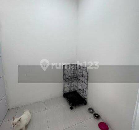 Rumah di Komplek Pelindo Cilincing Jakarta Utara 2