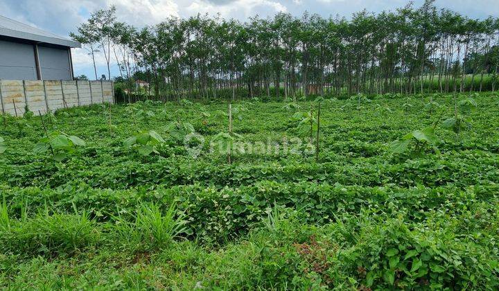 Tanah Industri SHM di Pakisjajar Malang 1