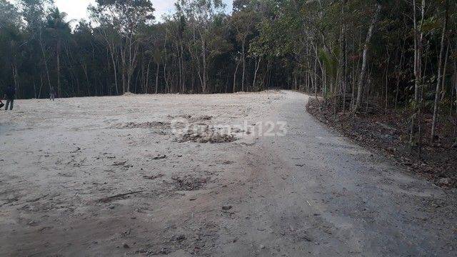Tanah Jogja 900 Ribuan, Dekat Bandara Yia Jogja 2