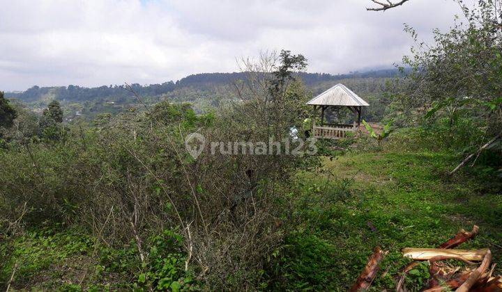 Tanah di Bedugul, Tabanan 2.500 m² 2