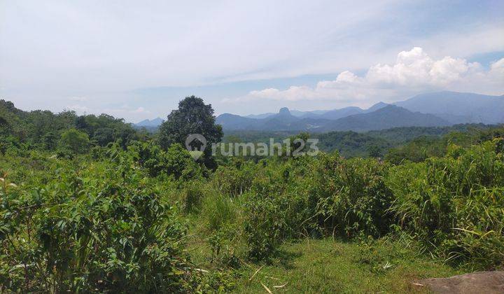 Tanah Cariu 1.2 Hektar Hanya Rp 350 Ribu Per Meter 1