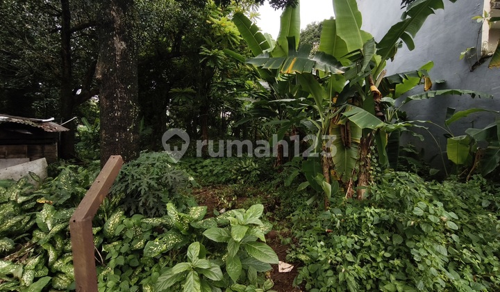 Tanah Residensial Ciputat 4265 M2 (70X60) Selatan