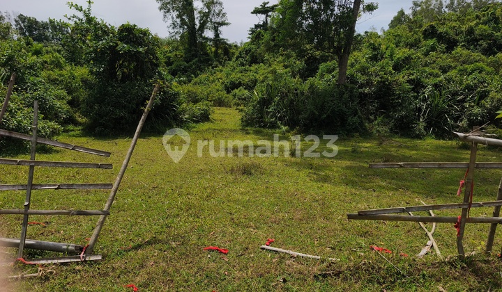 Kebon Cau Agricultural Land 1.4 Hectares Kebon Cau Agricultural Land 1.4 Hectares