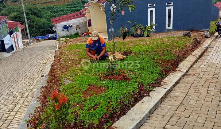 Rumah baru siap huni hanya 1 jt All in sampai akad. Promo tanpa DP dan bebas seluruh biaya-biaya  2