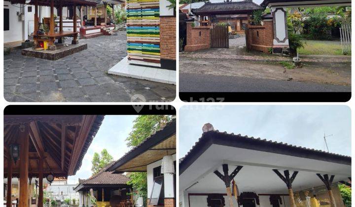 Rumah Komersial Area Dharmawangsa Kota Tabanan Showroom Usaha 2