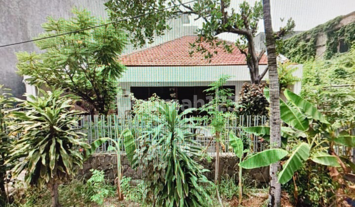 Rumah Murah Hitung Tanah Ngagel Wasana Surat Ijo 