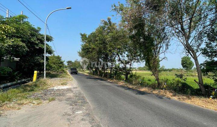 Pabrik Gudang Raya Balongpanggang Gresik Jual Murah Shm 2