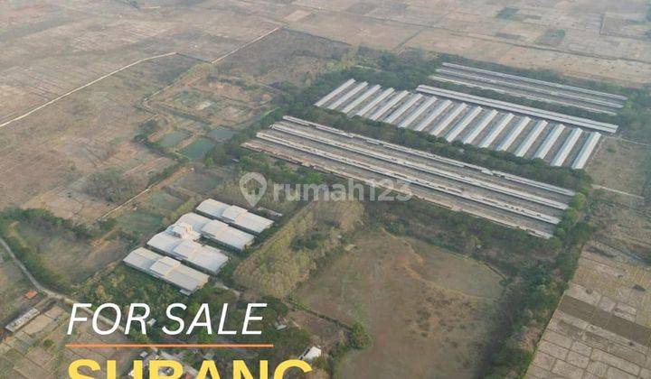 Lahan Atau Tanah 54 Ha di Pabuaran Subang Sebagai Kawasan Industri Legalitas Shgb Perusahaan