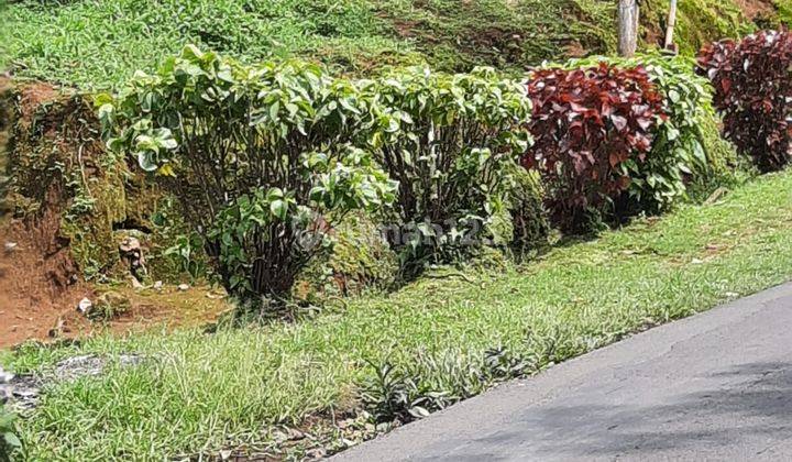 Tanah darat pinggir halan cocok untuk ruko dan perumahan 3