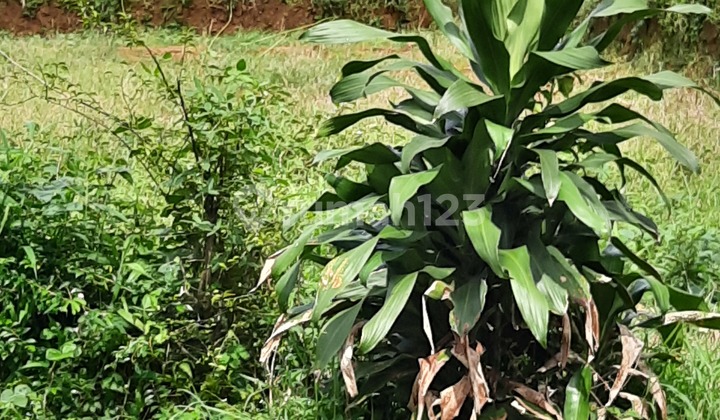 Tanah darat lokasi strategis pinggir jalan dekat tempat wisata 6