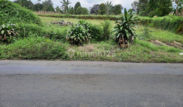 Tanah darat lokasi strategis pinggir jalan dekat tempat wisata 7
