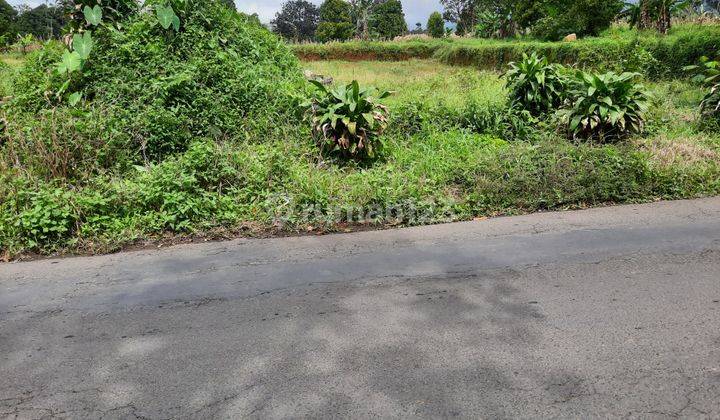 Tanah darat lokasi strategis pinggir jalan dekat tempat wisata 8