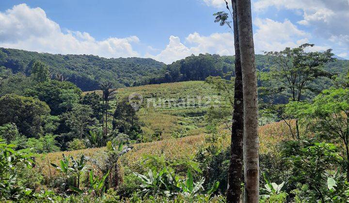 Tanah darat pinggir jalan raya cocok untuk semua usaha 4