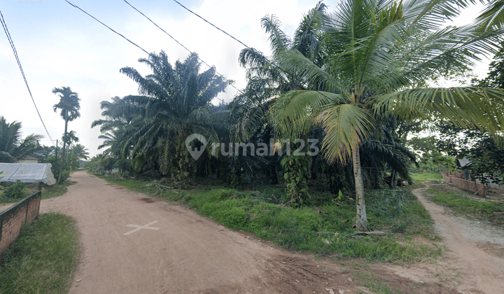 DIJUAL TANAH LUAS TIRTO MULYO PANGKALAN BENTENG PALEMBANG 2