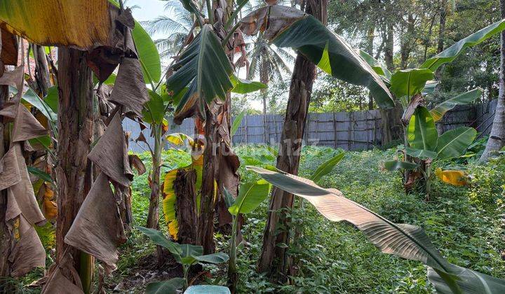 DIJUAL RUMAH JALAN MEGA MENDUNG SENTOSA PLAJU PALEMBANG