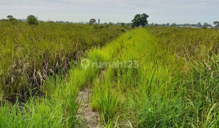 Dijual Tanah Super Luas Jakabaring Palembang Dekat Sekolah Olahraga Sumsel 2