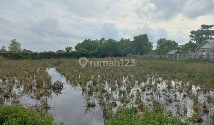  Dijual Tanah di Jalan Panca Usaha Belakang Kampus B Uin Raden Fatah Jakabaring Palembang 3