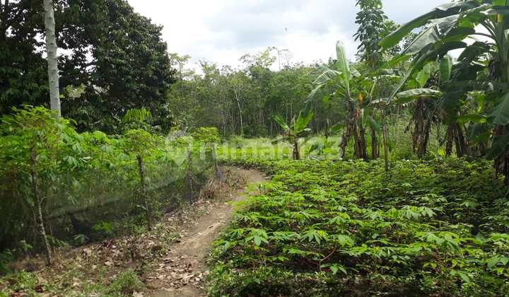  Dijual Murah Tanah Luas 2 Belakang Smpn 1 Indralaya Utara Desa Parit Jaya Indralaya 4