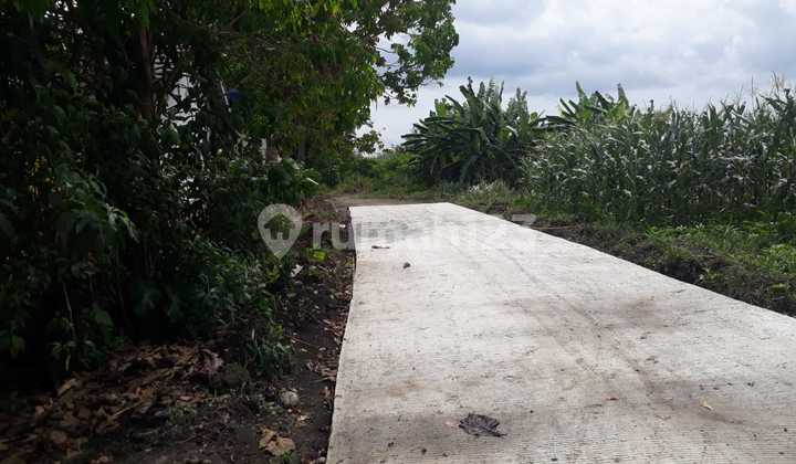 Dijual Murah Tanah Luas 2 Belakang Smpn 1 Indralaya Utara Desa Parit Jaya Indralaya 13