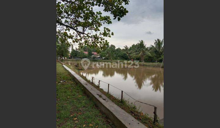 Dijual Tanah Serta Rumah Plus Kolam Pemancingan Jalan Irigasi Pakjo Palembang 5