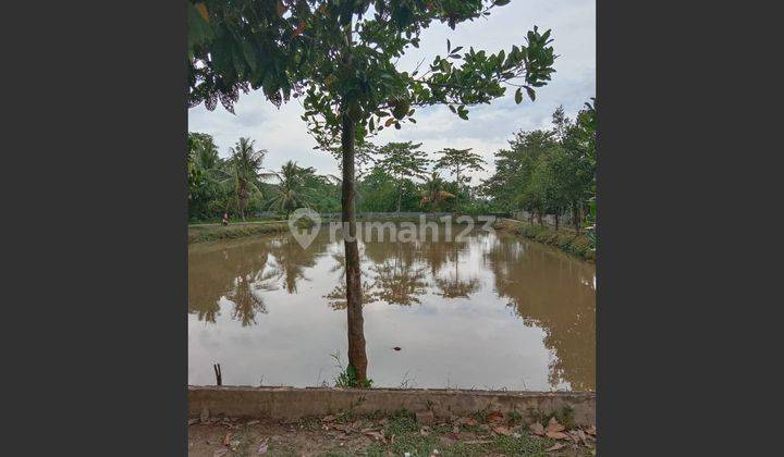 Dijual Tanah Serta Rumah Plus Kolam Pemancingan Jalan Irigasi Pakjo Palembang 6