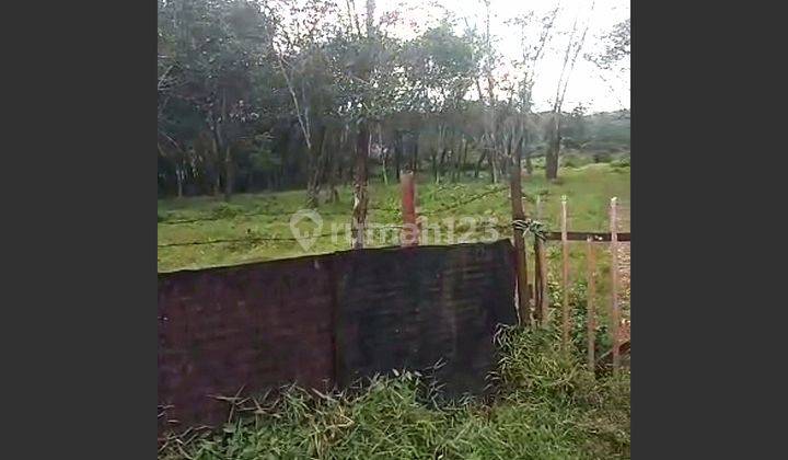 Dijual Lahan Kebun di Air Batu Talang Kelapa Banyuasin 2