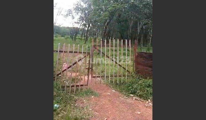 Dijual Lahan Kebun di Air Batu Talang Kelapa Banyuasin 3