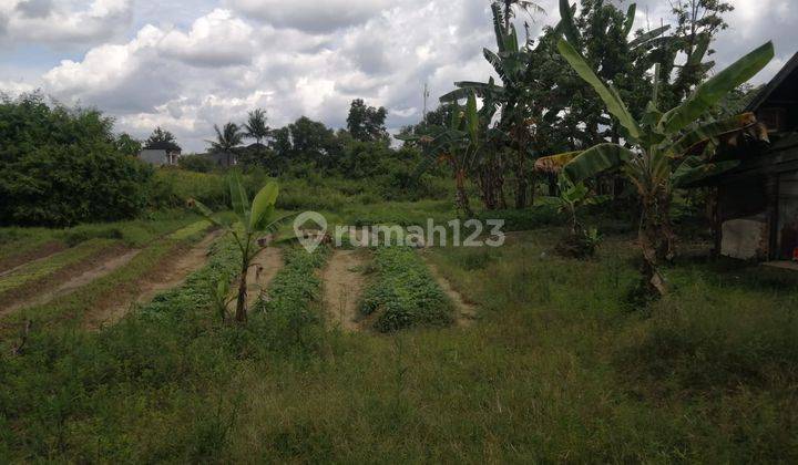 Dijual Tanah Luas Strategis Purwosari Celentang Palembang 4