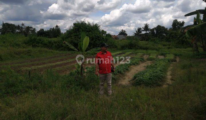 Dijual Tanah Luas Strategis Purwosari Celentang Palembang 6
