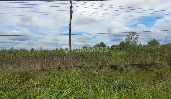 Dijual Tanah Murah Jalan Tanjung Api Api Km9 Banyuasin 1