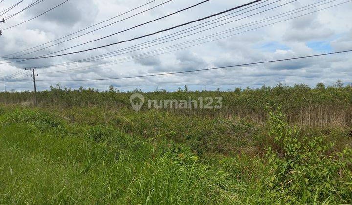 Dijual Tanah Murah Jalan Tanjung Api Api Km9 Banyuasin 2