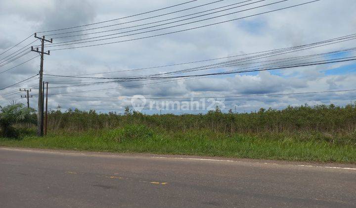 Dijual Tanah Murah Jalan Tanjung Api Api Km9 Banyuasin 5