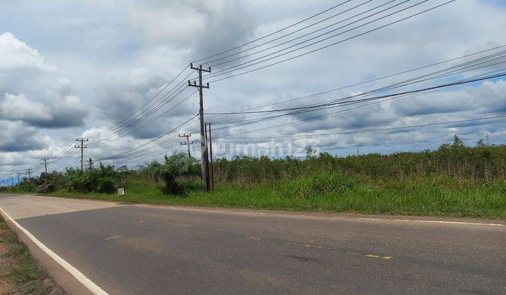 Dijual Tanah Murah Jalan Tanjung Api Api Km9 Banyuasin 6