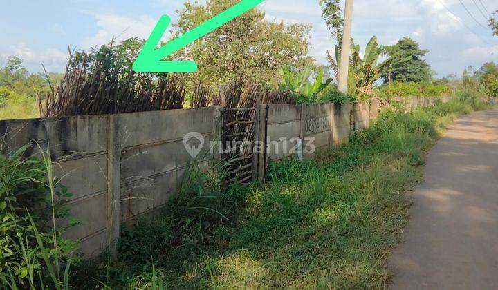 Dijual Tanah Murah Jalan Gandus Talang Buluh Banyuasin Dekat Yonif Raider 1