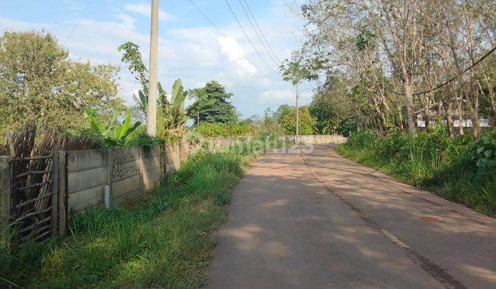 Dijual Tanah Murah Jalan Gandus Talang Buluh Banyuasin Dekat Yonif Raider 2