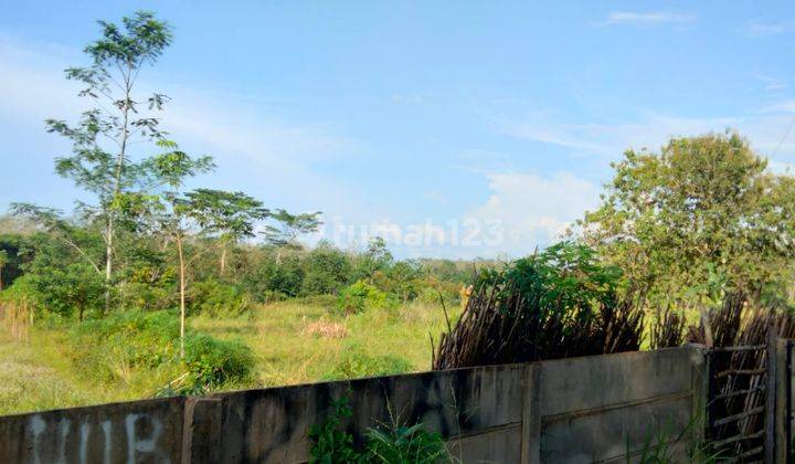 Dijual Tanah Murah Jalan Gandus Talang Buluh Banyuasin Dekat Yonif Raider 4