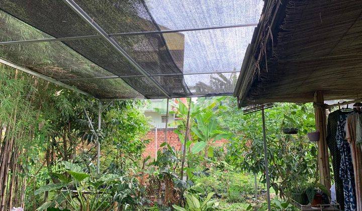 Rumah Dekat Polsek Lemabang Jalan Ratu Sianum Palembang 5