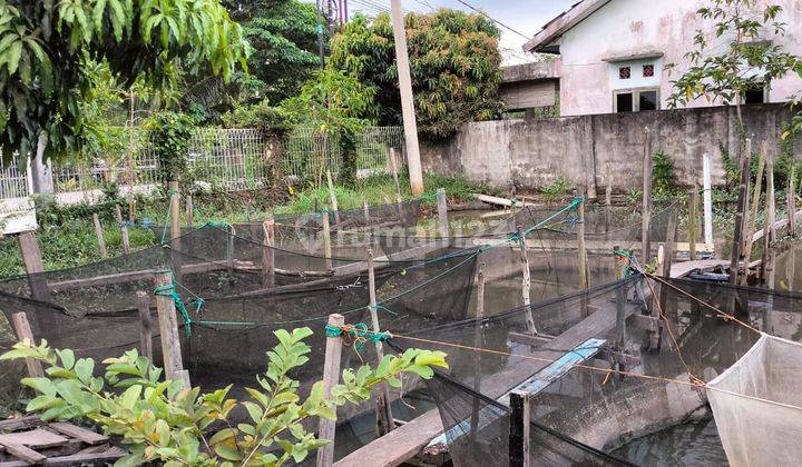 Dijual Tanah Rumah Plus Kolam di Jalan Perjuangan Dekat Pemancingan Mithra Palembang 4