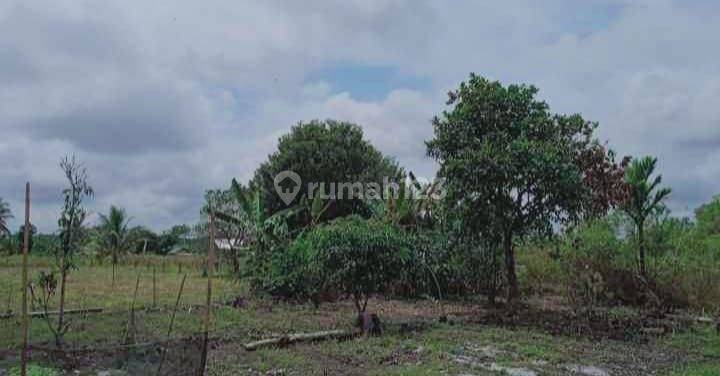 DIJUAL TANAH LUAS SIAP BANGUN DEKAT GERBANG TOL INDRALAYA – PALEMBANG 1