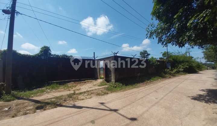 DIJUAL TANAH 6 HEKTAR JALAN SUKAMORO KM 18 BANYUASIN