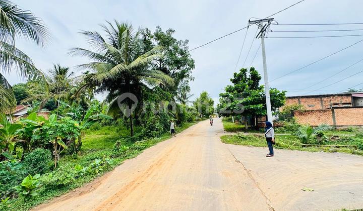 DIJUAL CEPAT TANAH MURAH JALAN LEBONG PERMAI ALANG ALANG LEBAR PALEMBANG DIJUAL CEPAT TANAH MURAH JALAN LEBONG PERMAI ALANG ALANG LEBAR PALEMBANG